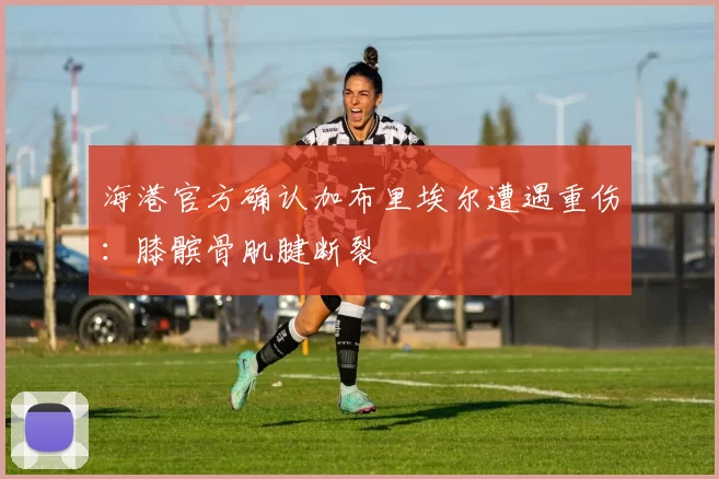 海港官方确认加布里埃尔遭遇重伤：膝髌骨肌腱断裂
