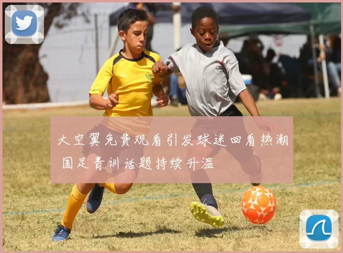 大空翼免费观看引发球迷回看热潮 国足青训话题持续升温